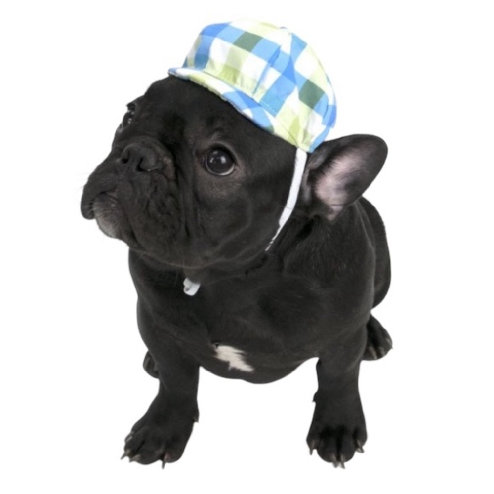 Vibrant Life NWT XS/S Dog Newsboy Hat green & blue plaid